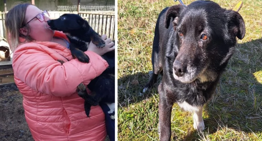 Radości i smutki w „przytulisku” Straży Miejskiej w Pułtusku