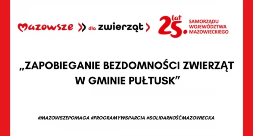 Zapobieganie bezdomności zwierząt w gminie Pułtusk