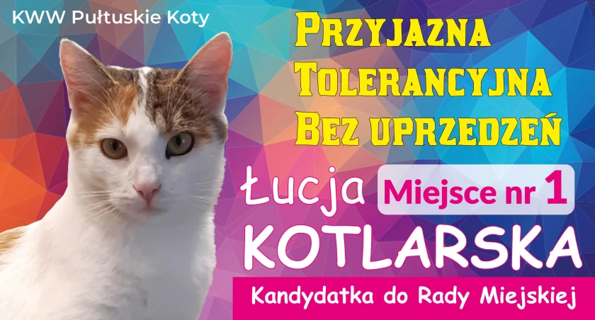 Pilne! Z ostatniej chwili! Kotka Łucja kandydatką do Rady Miejskiej w Pułtusku  