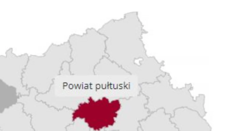 Kto ile zdobył głosów? Wyniki wszystkich kandydatów do Rady Powiatu w Pułtusku