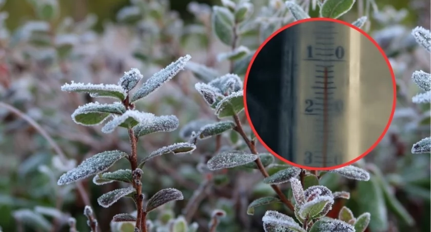 Będzie zimno i ślisko - alert meteorologiczny