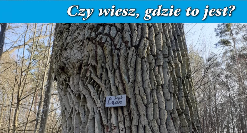 Czy wiesz, gdzie to jest? - Fotograficzna zagadka dla naszych Czytelników