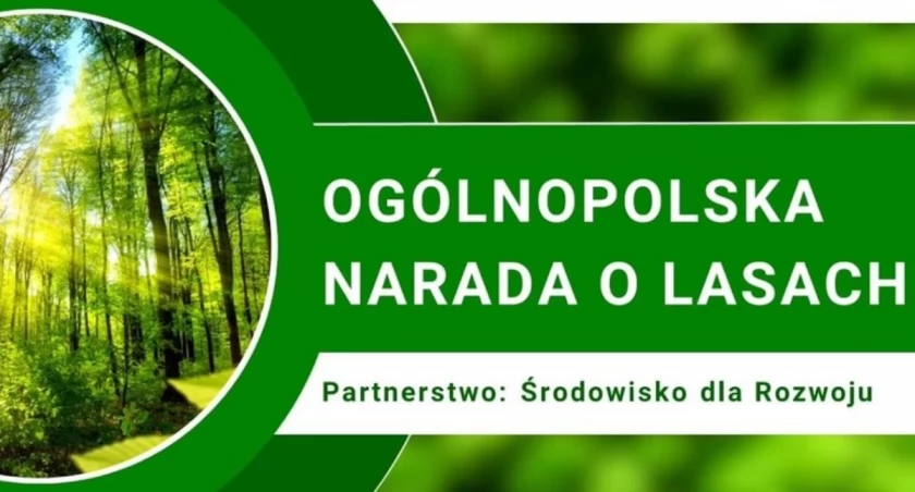 Ogólnopolska Narada o Lasach. Jest stanowisko Lasów Państwowych 