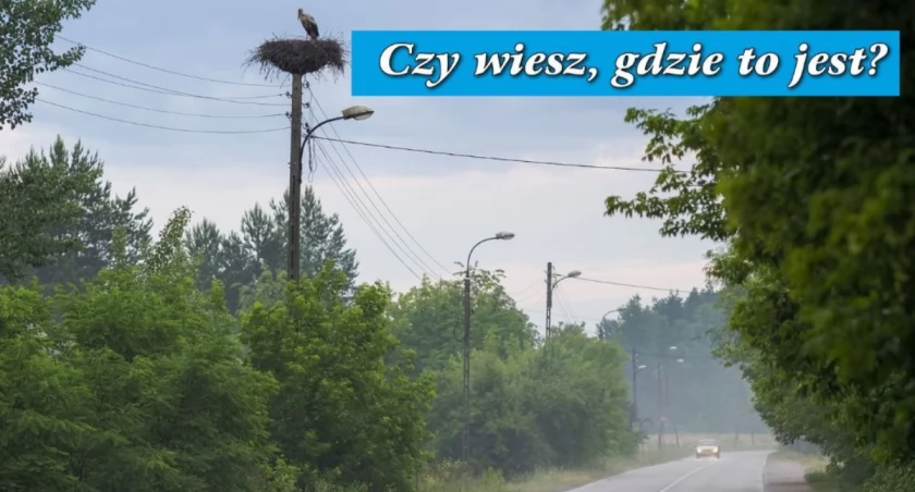 Czy wiesz, gdzie to jest? Cotygodniowy konkurs