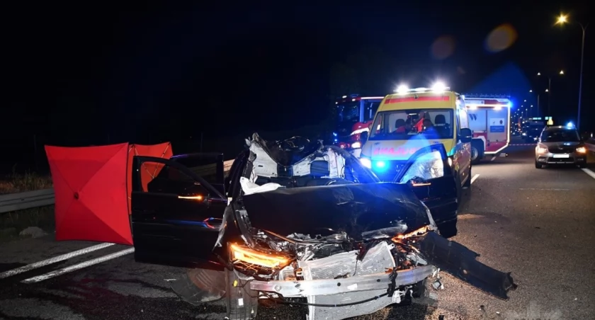 U sąsiadów: Bardzo groźny wypadek z udziałem łosia 