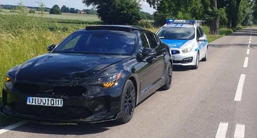  Zderzenie z sarną w Łachoniu 