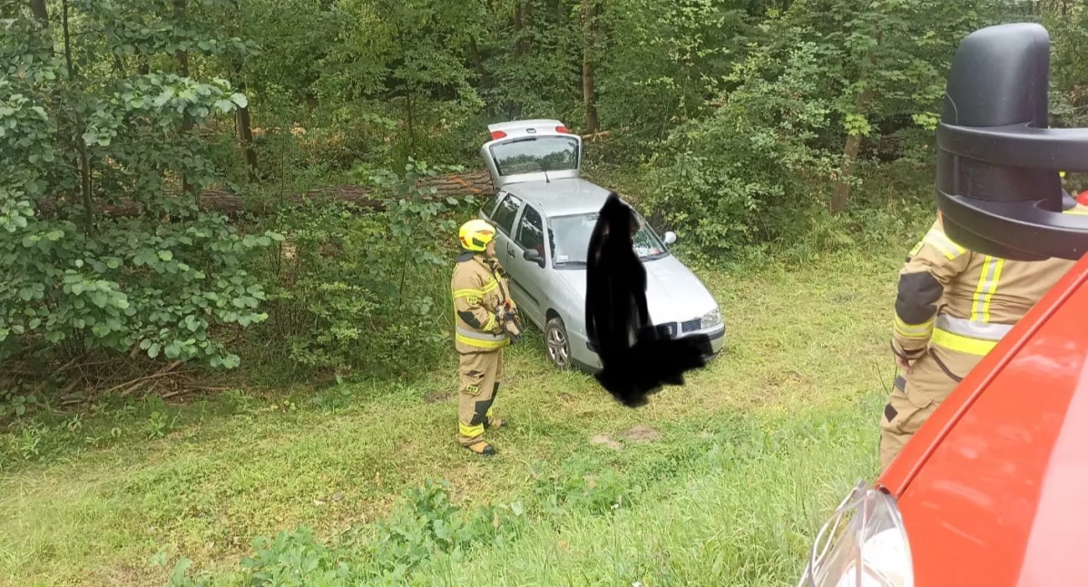 Pracowity tydzień pułtuskich strażaków - kronika zdarzeń