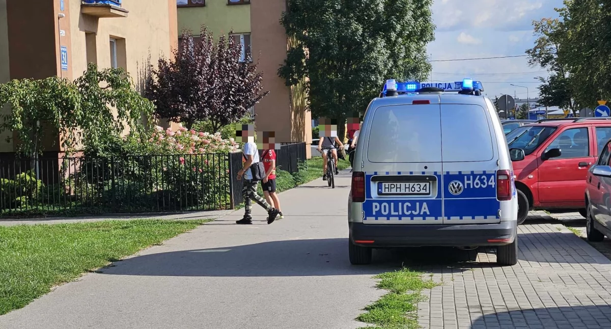 Pies pogryzł 4-letnią dziewczynkę na ul. Tysiąclecia