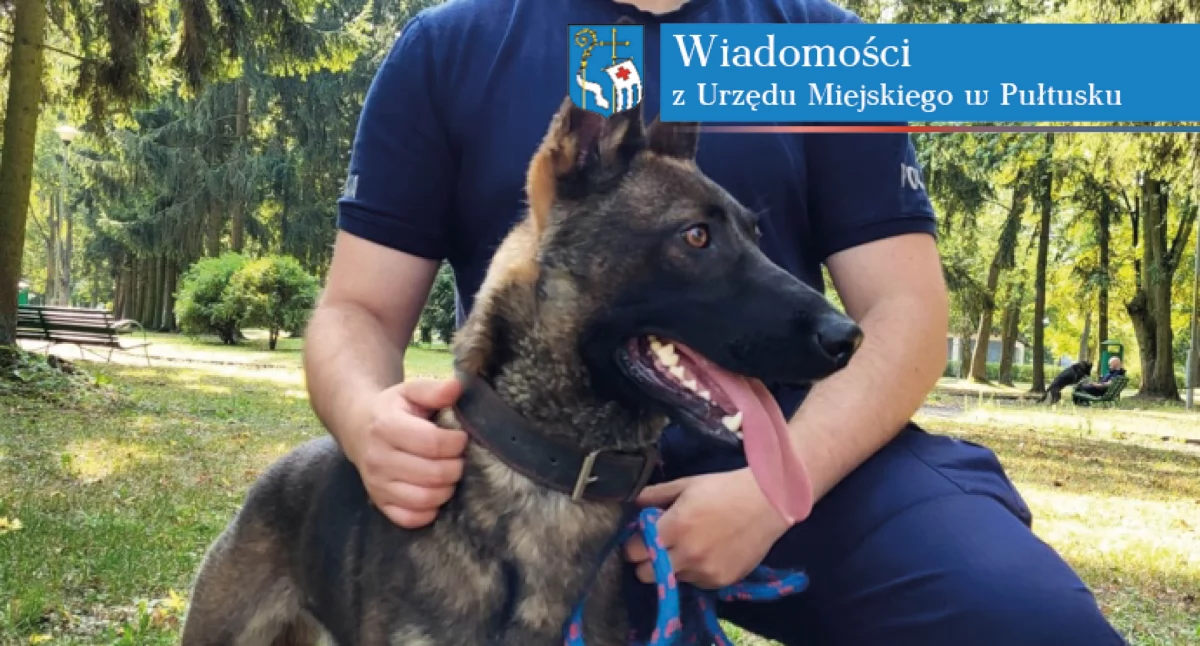 Dzięki gminie Pułtusk czworonożny funkcjonariusz trafi do Pułtuskiej Komendy Policji