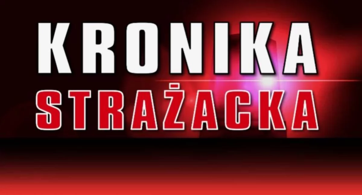 Wypadki, pożary, powalone drzewa i jeden fałszywy alarm. Kronika wydarzeń pułtuskiej Straży Pożarnej