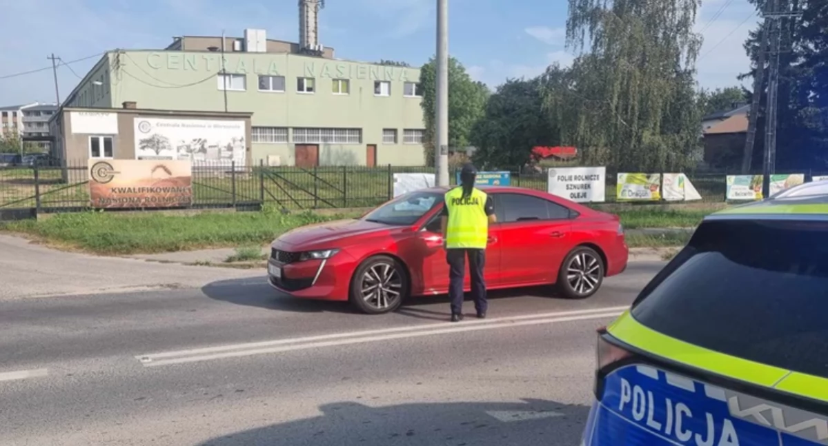 Wszyscy kierowcy byli trzeźwi  