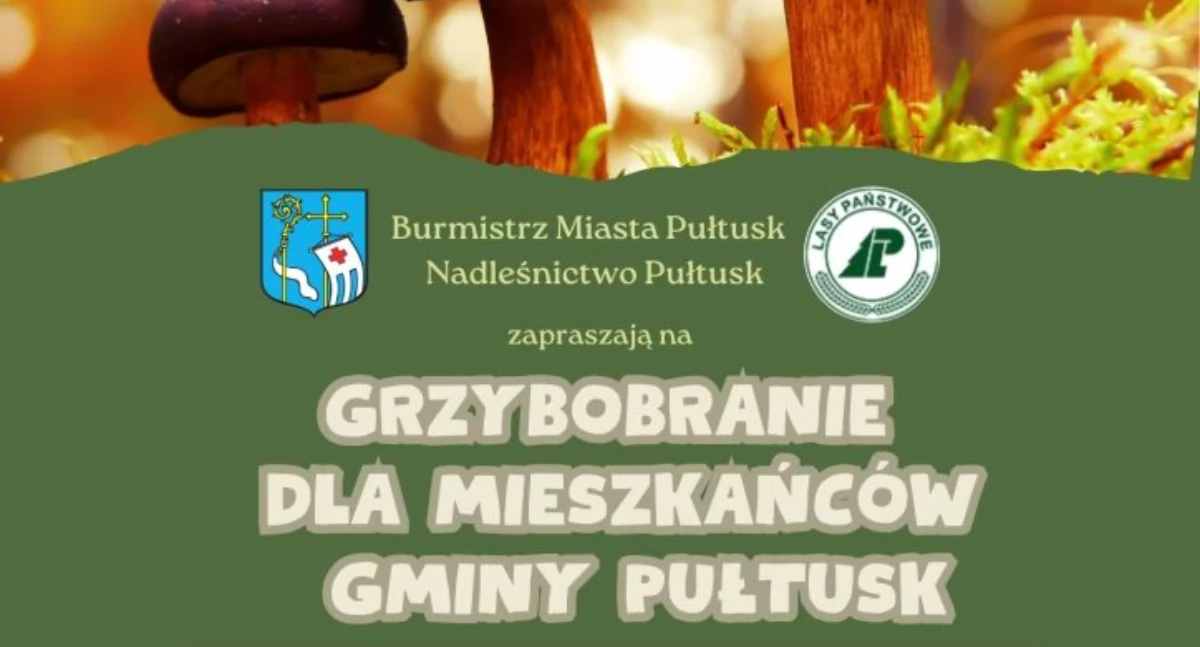 Grzybobranie dla mieszkańców Gminy Pułtusk – serdeczne zapraszamy!