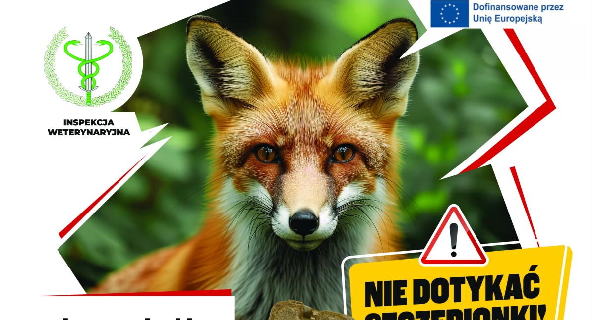 Dodatkowa akcja szczepienia lisów