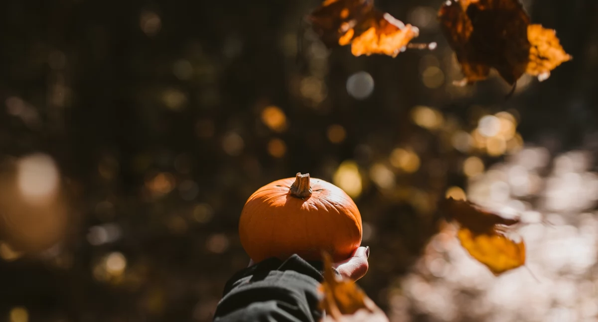 Pogoda na listopadowo-grudniowy weekend