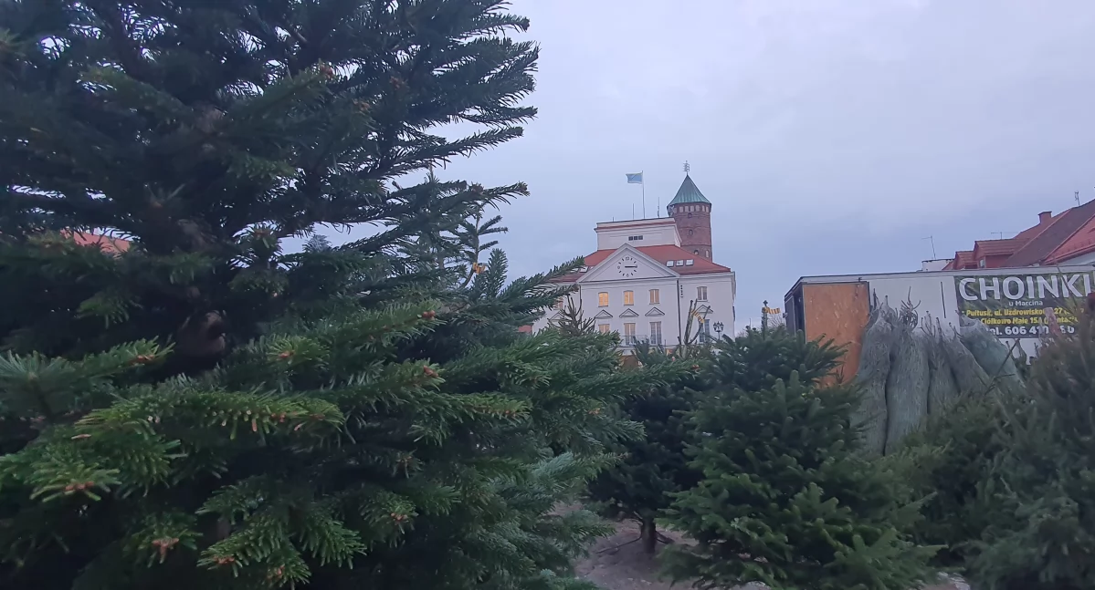 Choinkowe pułtuskie miasteczka. Które lubicie najbardziej?