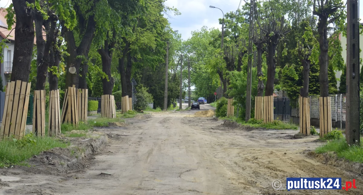 Z planowanych 68 drzew wycięli 7. Jak mieszkańcy Starego Miasta zapobiegli wycince