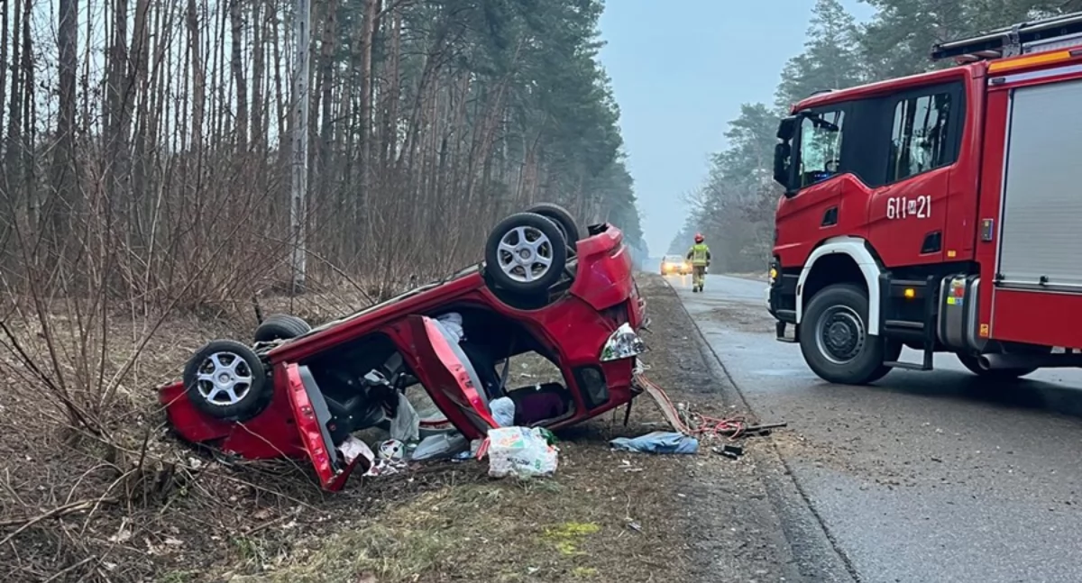 Dwa zdarzenia z udziałem dzikich zwierząt