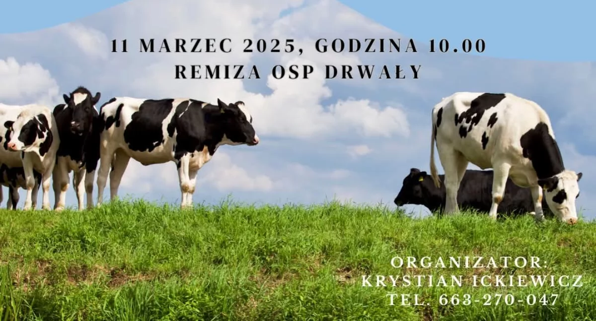 Gmina Zatory zaprasza na bezpłatne szkolenie