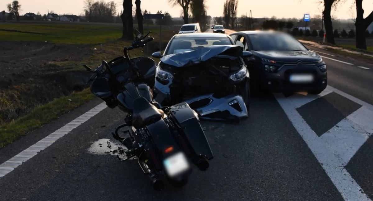 Uważajcie na dzikie zwierzęta! Groźny wypadek u sąsiadów