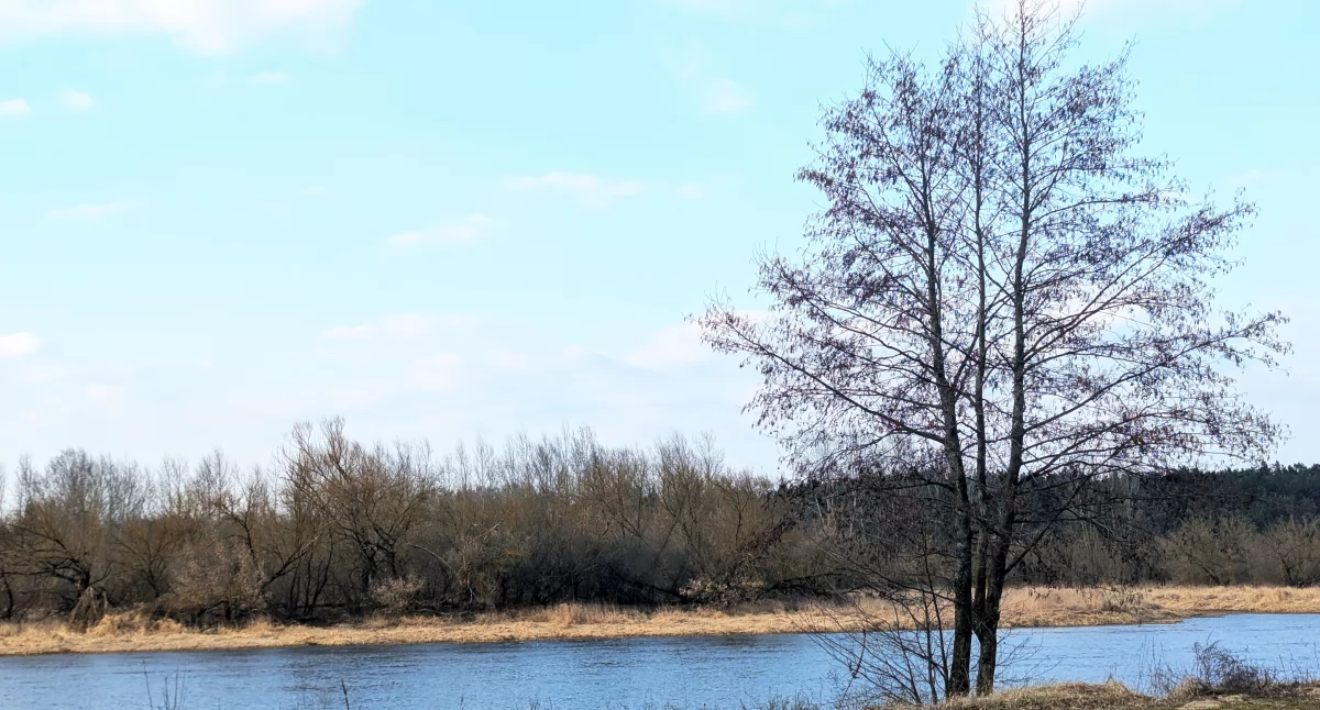 Prognoza na ostatni weekend marca