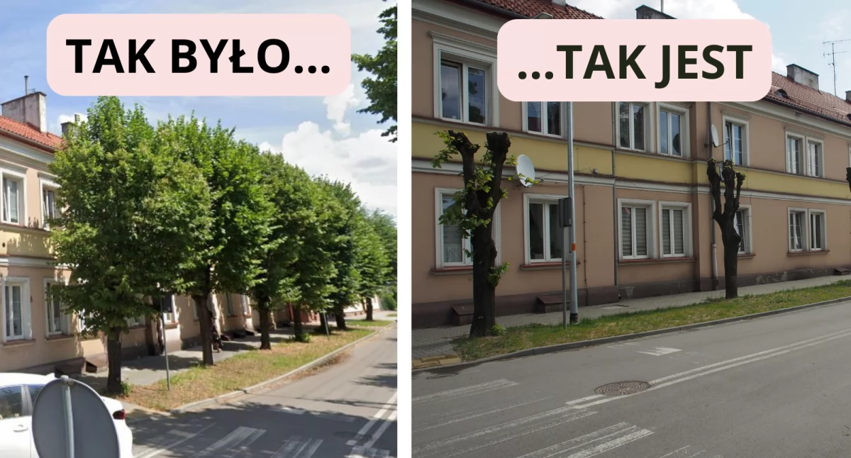 Ładnie odrosły? 
