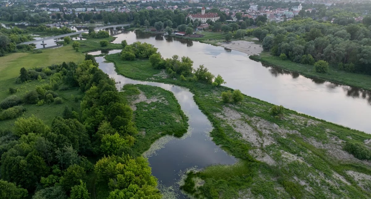 Stara Narew zanika