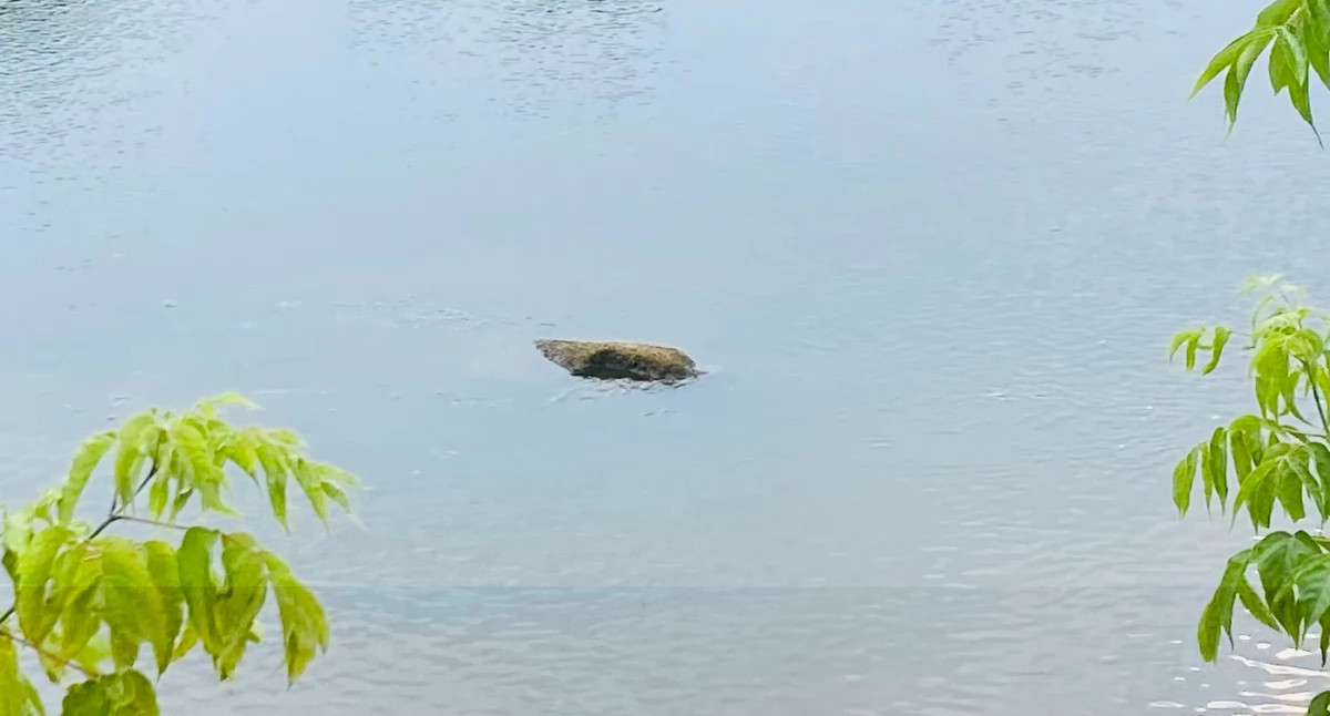 Narew jest rekordowo niska a za chwilę…
