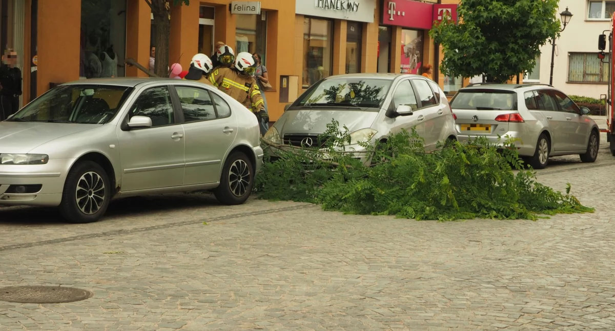  Na Świętojańskiej gałąź spadła na samochód 