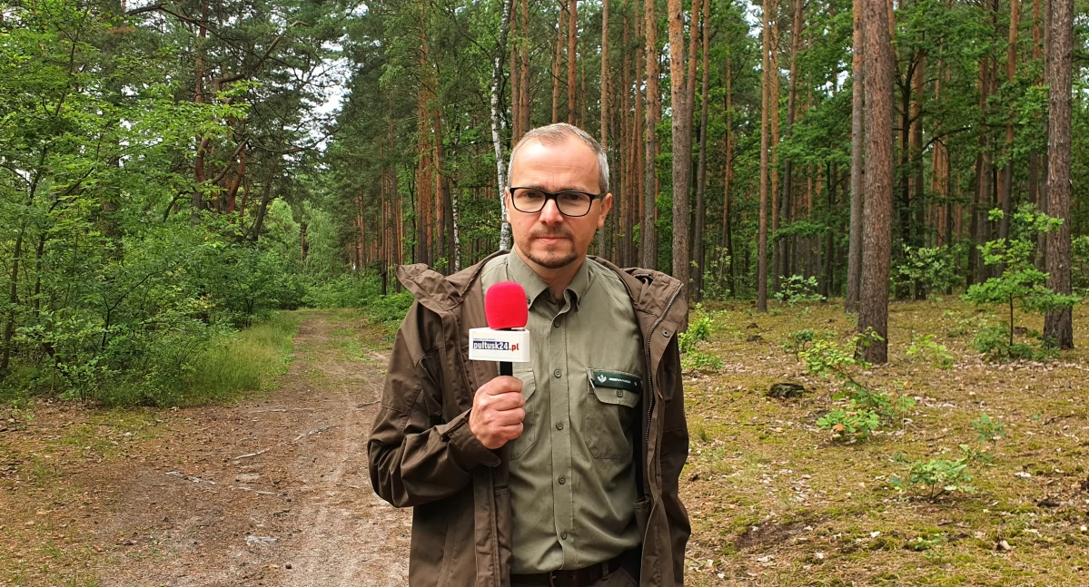 Spacer z Krzysztofem Rylskim, inżynierem nadzoru w Nadleśnictwie Pułtusk