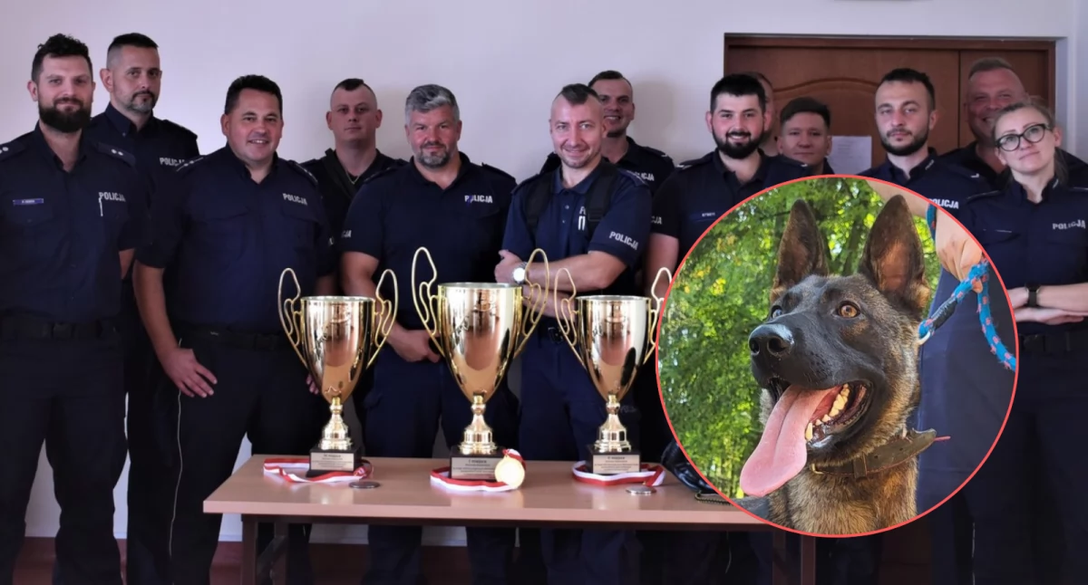 Policyjny pies Tors z KPP w Pułtusku z bardzo dobrym wynikiem 