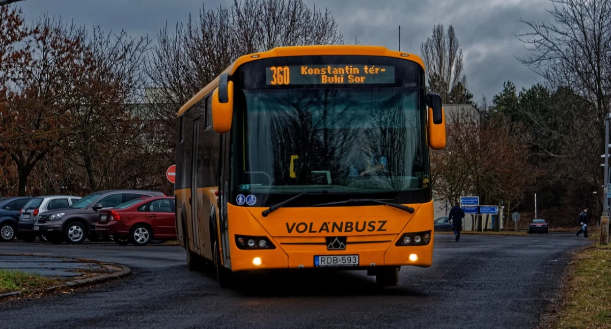 Kiedy autobus ma pierwszeństwo?