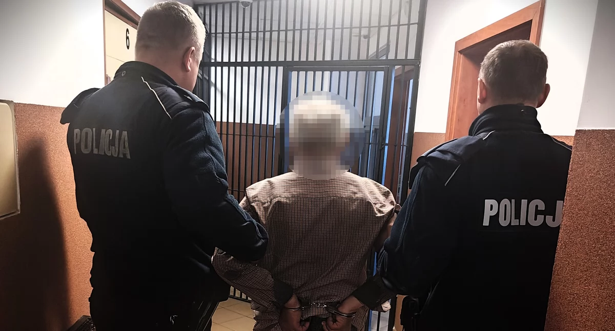  Zabił siekierą psa! 67-latek z powiatu żuromińskiego groził wcześniej, że to zrobi  