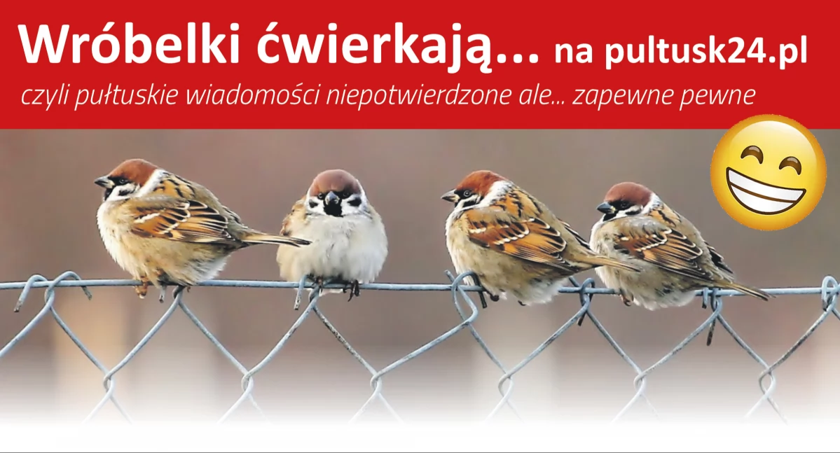 Wróbelki ćwierkają na Pultusk24