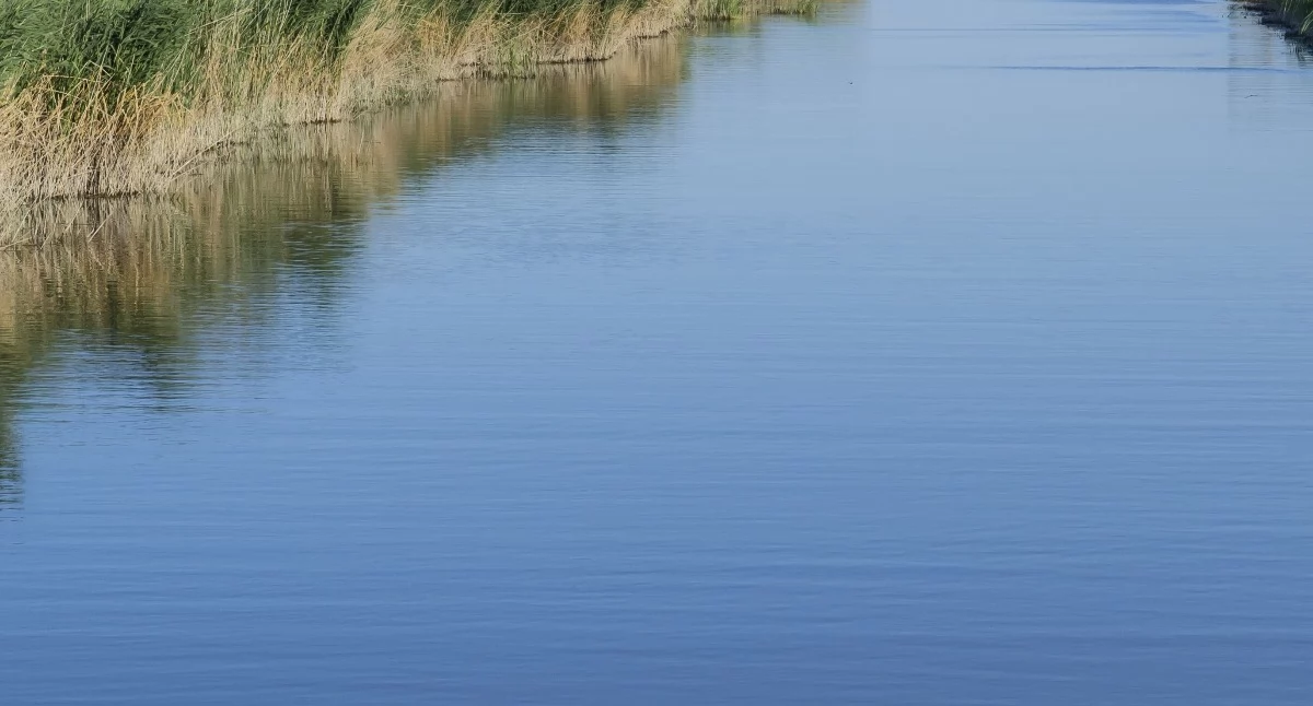 Alert hydrologiczny IMGW: Gwałtowne wzrosty stanów wody. Prognozowane burze i ulewy