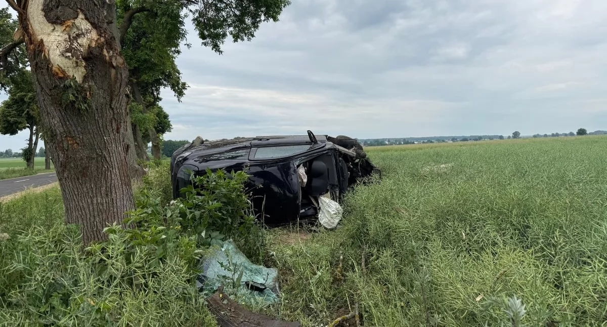 Czarna seria na Mazowszu - 10 wypadków i aż 35 pijanych kierowców w jeden weekend