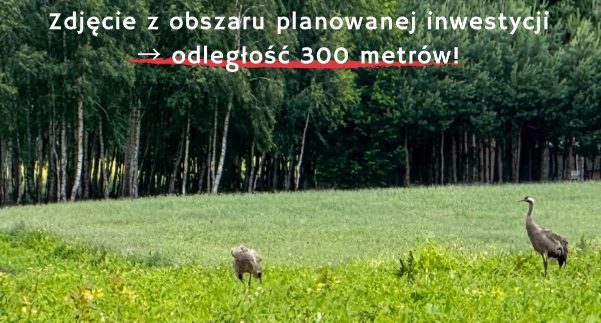 Petycja w sprawie powstaniu inwestycji gospodarowania odpadami we wsi Chmielewo (gmina Pułtusk)