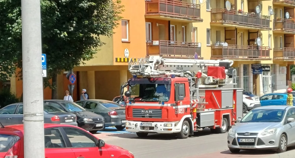 Nietypowa interwencja. Strażacy ratują jeżyka