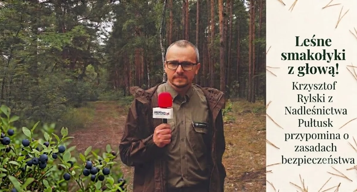 Leśne smakołyki z głową!  Rzecznik Nadleśnictwa Pułtusk przypomina o zasadach bezpieczeństwa