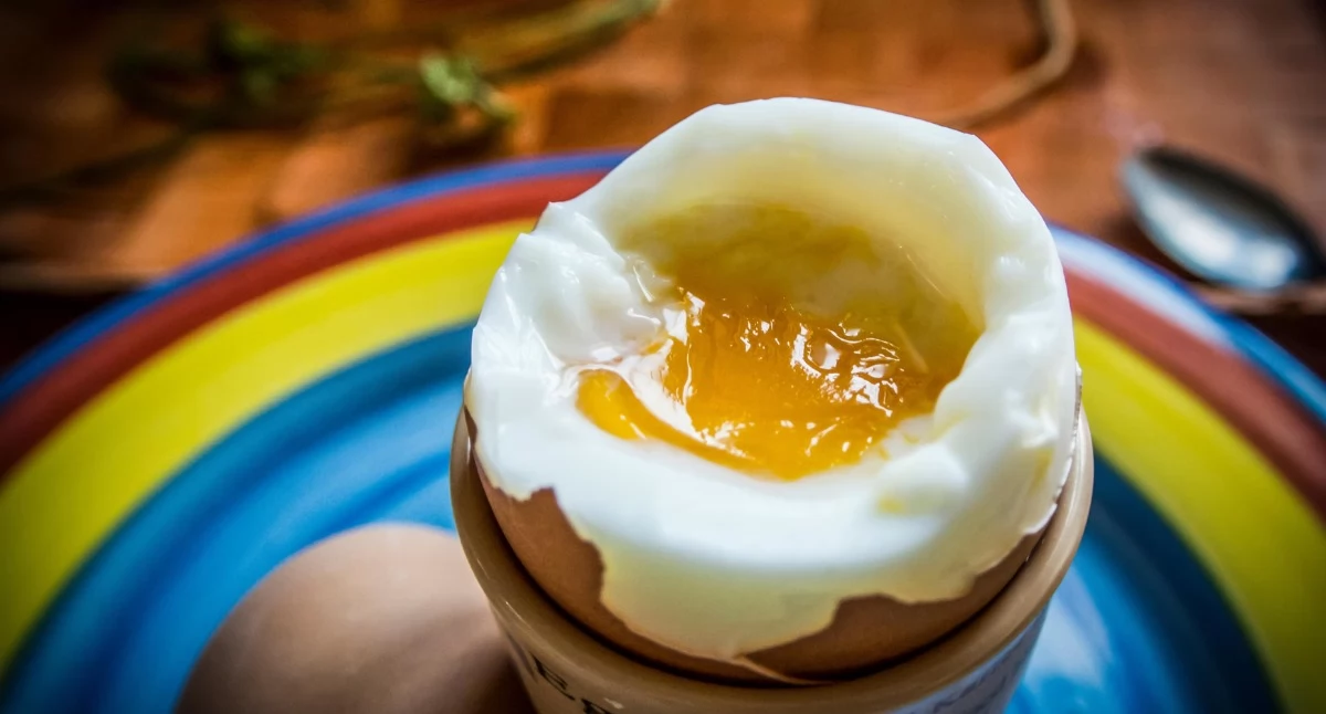 Jajka pod lupą naukowców. Nowe badania rozwiewają mity dotyczące cholesterolu 