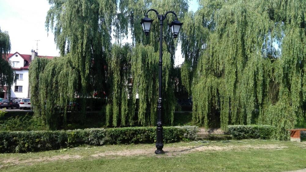 Nowe lampy w Alejkach Gomulickiego