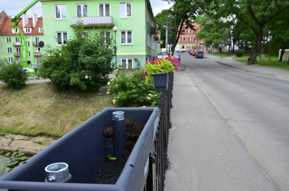 Kradną kwiaty z mostu…