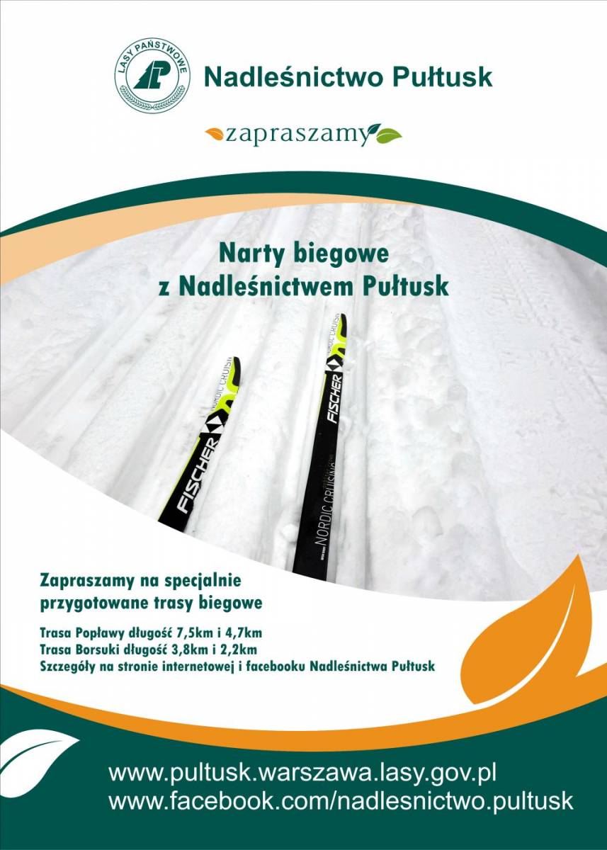 Narciarskie trasy biegowe w Nadleśnictwie Pułtusk