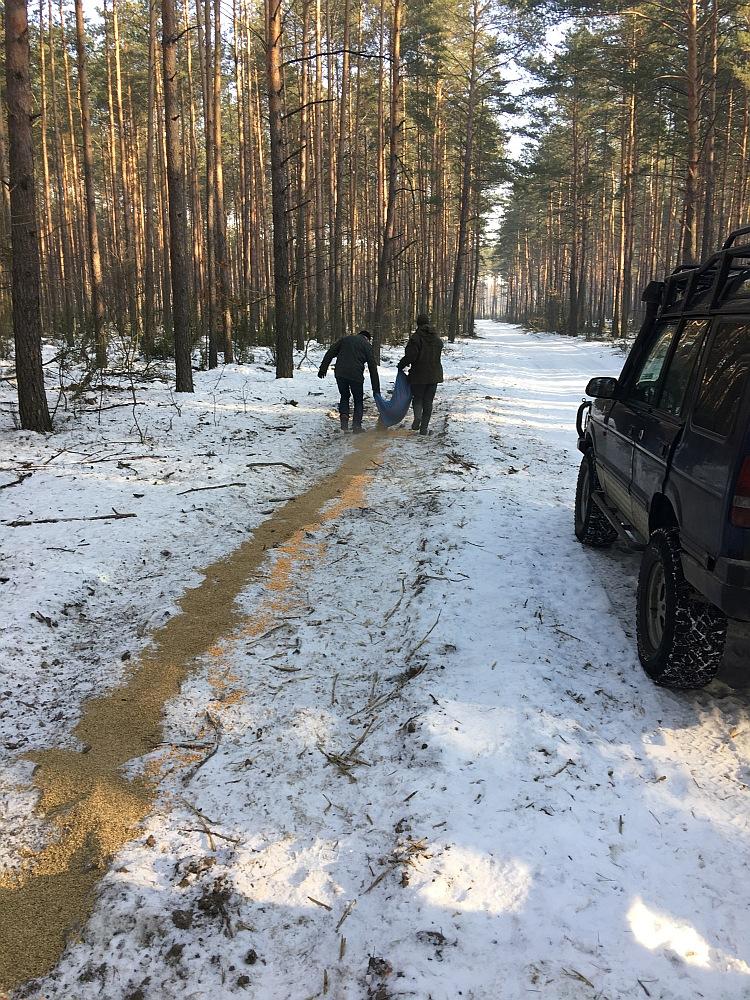 Myśliwi dokarmiają