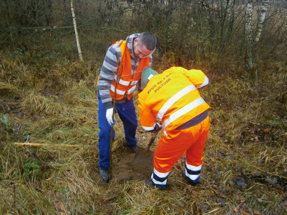 Posadzono 84 drzewa i 300 krzewów