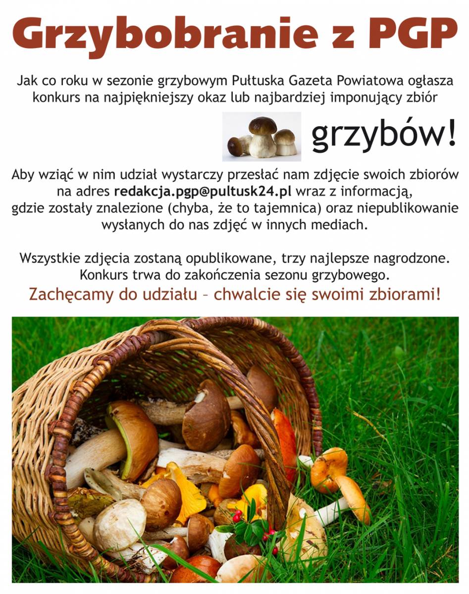 GRZYBOBRANIE - KONKURS