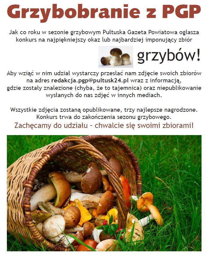 Grzybobranie z PGP