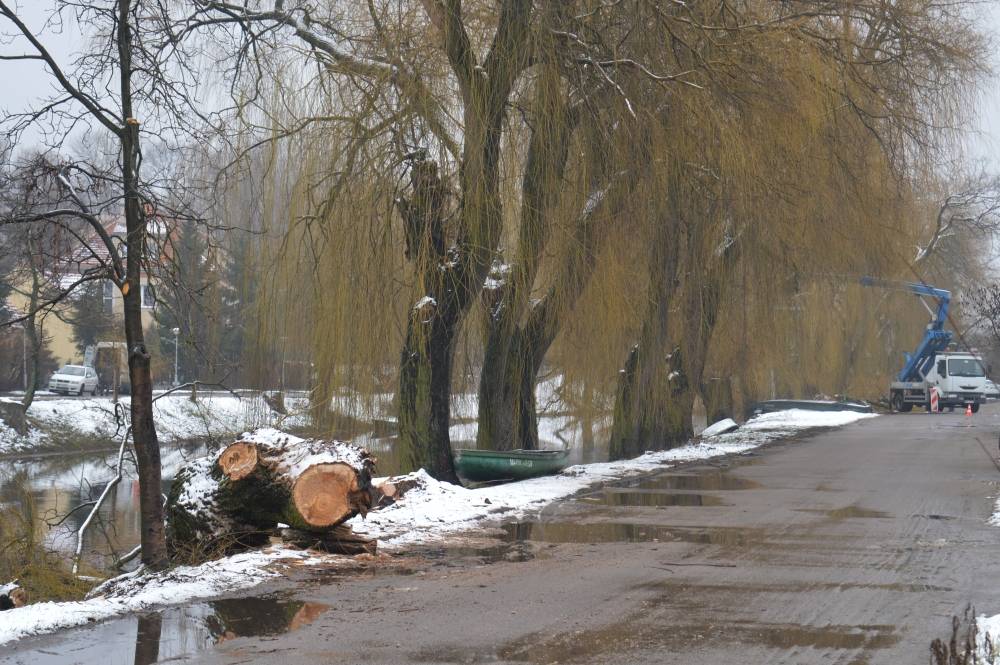 Wenecja Mazowsza pod topór i piłę!