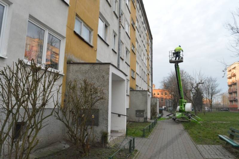 Z troską o wróbelki i jerzyki