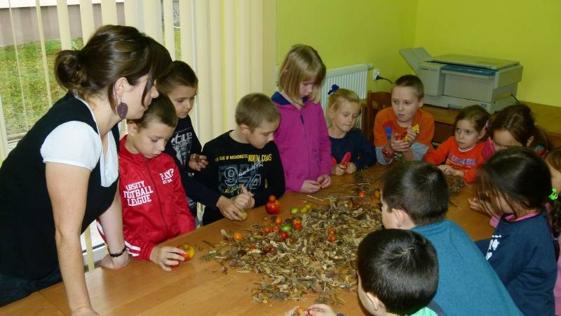 Dokąd jesienią tupta jeż?