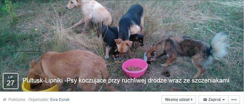 Potrzebna pomoc dla psiej rodziny!